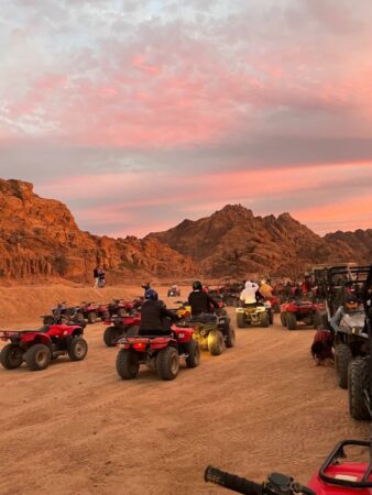 Sharm AlShikh Safari
