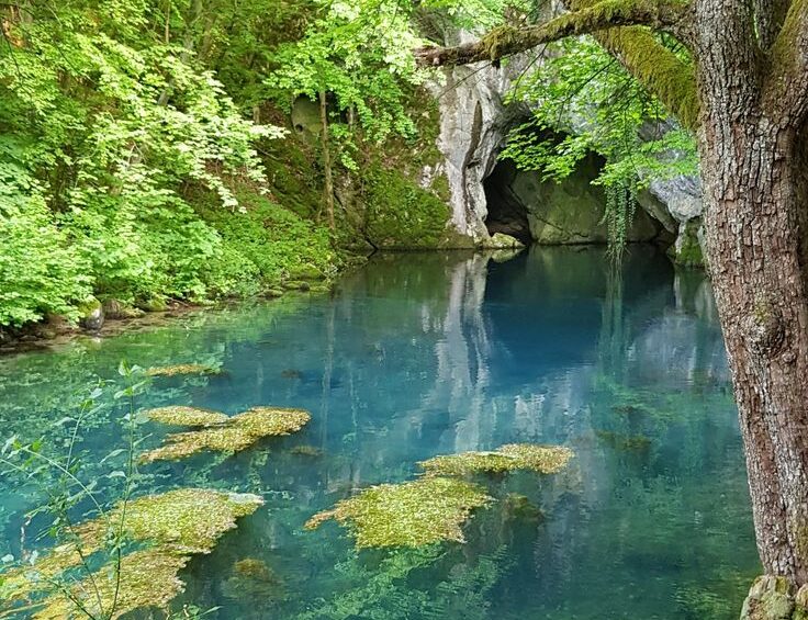 Yucatan Cenote With Sunbeams Piercing Through a Jungle Cave